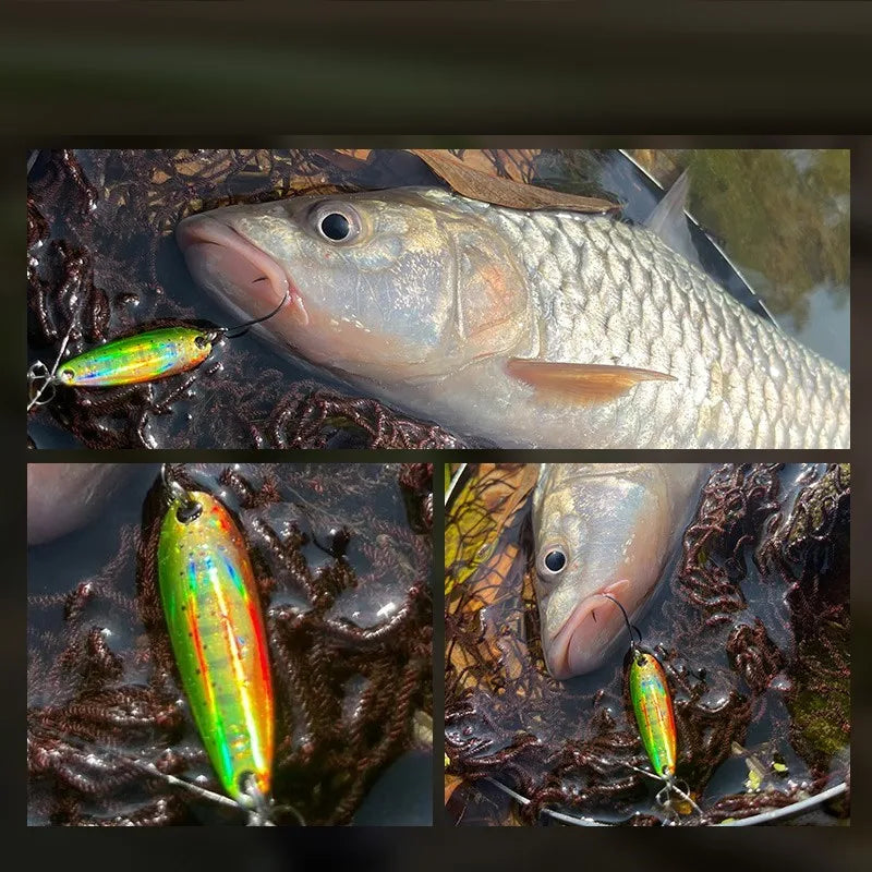 Spoon´s für Forelle und Barsch / Gold & Silber Rückseite
